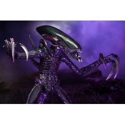 Razor Claws Alien - ALIEN VS PREDATOR 20 CM NECA