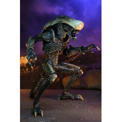 Chrysalis Alien - ALIEN VS PREDATOR 20 CM NECA