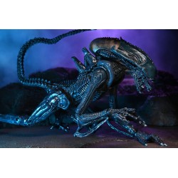 Arachnoid Alien - ALIEN VS PREDATOR 20 CM